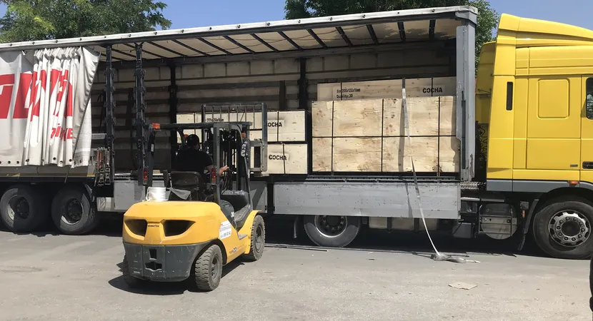 Plywood Plaka Ölçüleri